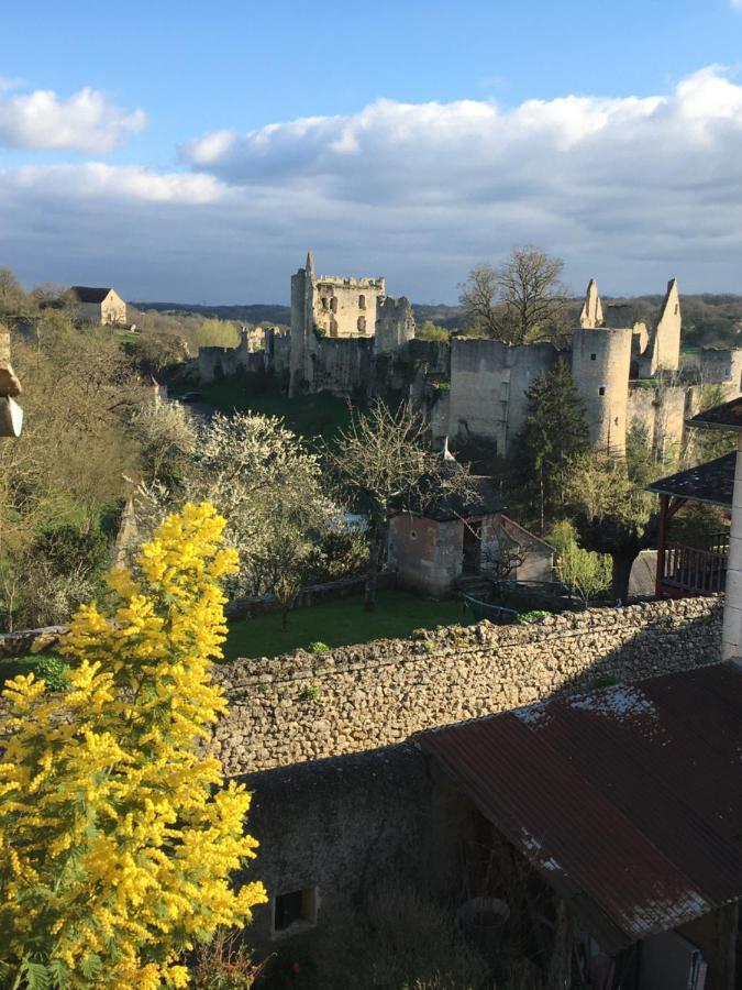 Chez Fred Avec Vue Sur Le Chateau Angles-sur-l'Anglin Bagian luar foto
