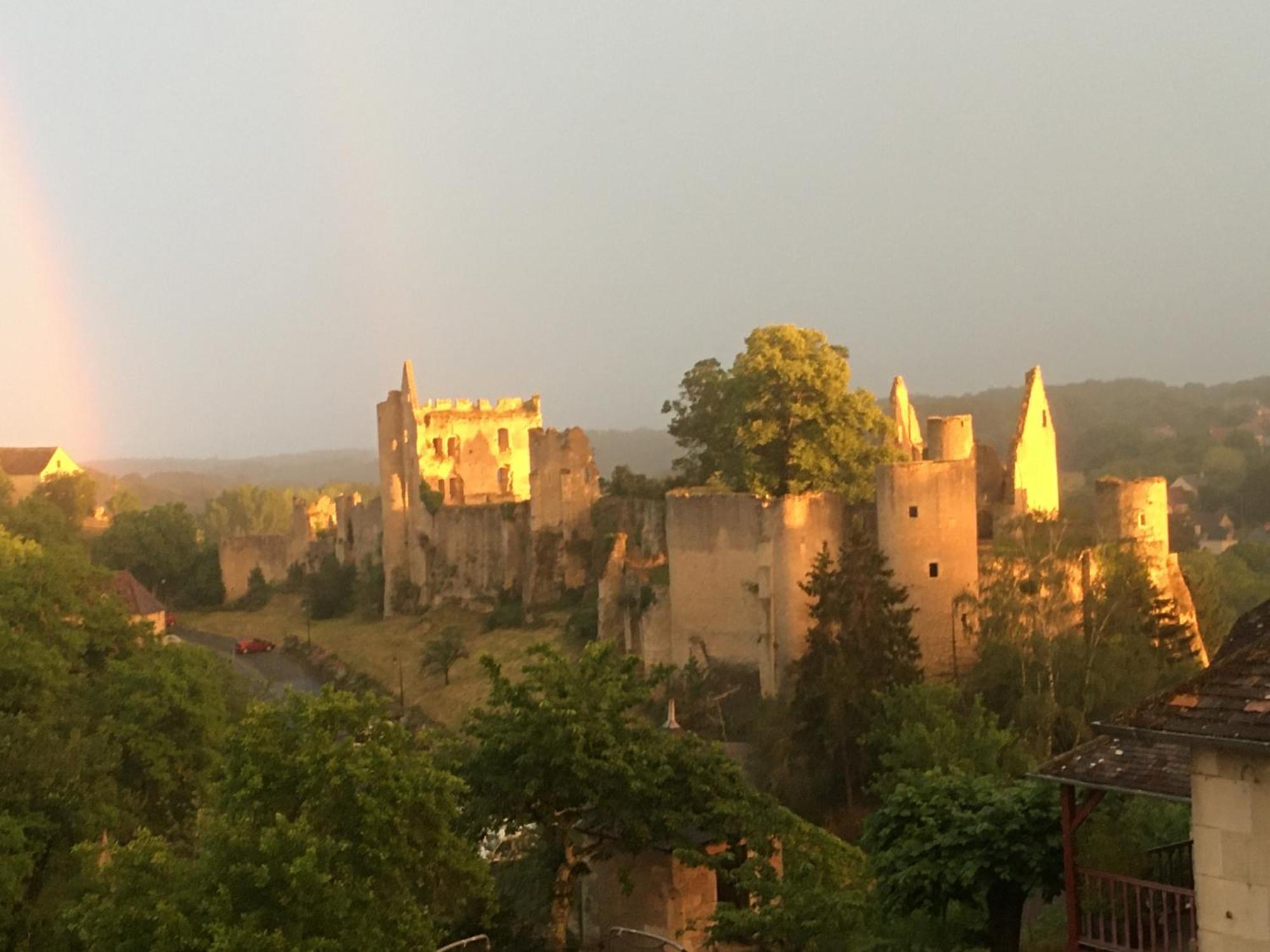 Chez Fred Avec Vue Sur Le Chateau Angles-sur-l'Anglin Bagian luar foto